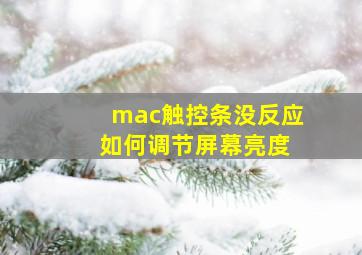 mac触控条没反应 如何调节屏幕亮度